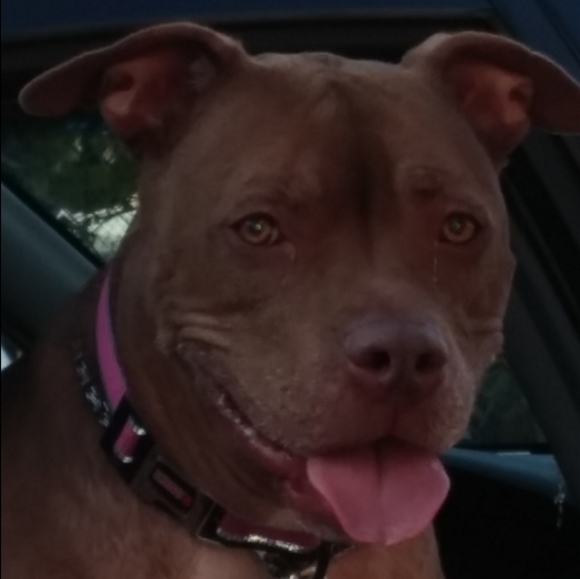 Meet your Posher, Deezo - Picture 13 of 16